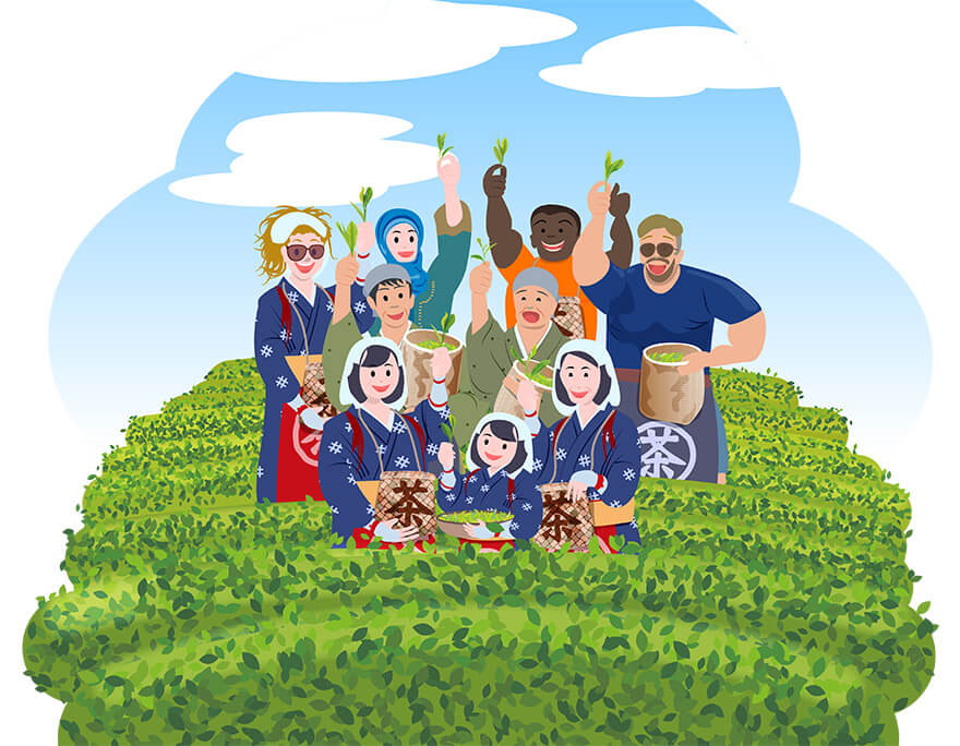 Local Experience & Tour Development